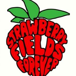 strawberry fields