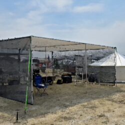 Looking for 1–2 Campmates (Small Solo Camp)