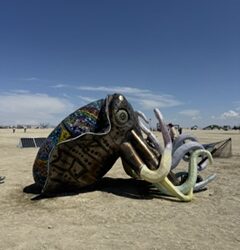 IMG_7275