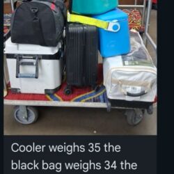 luggage-mickey